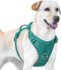 No Pull Dog Harness, Reflective Puppy Vest for Small Medium Large Sized Dog(MARRS Green,M)