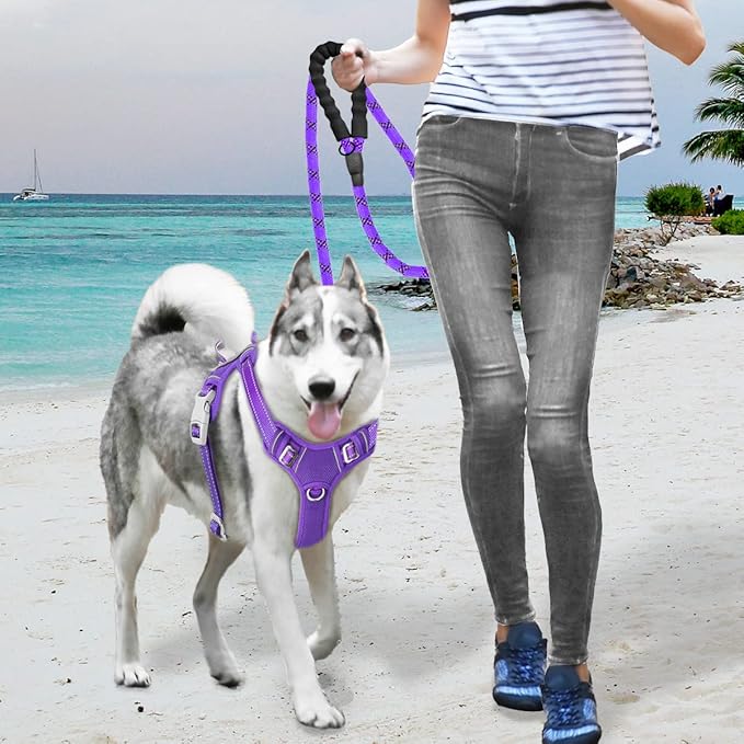 BARKBAY No Pull Dog Harness Large Reflective Dog Harness with Front Clip and Easy Control Handle for Walking Training Running with ID tag Pocket(Purple,L)
