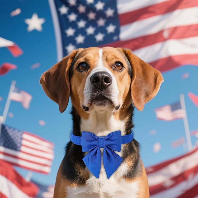 Maca Bates Klein Blue Dog Collar with Cute Solid Sailor Bow Tie for Extra Large Girl Boy Dogs,Adjustbale Durable Breakaway Soft Collars with Bowtie for Female Male Puppy,Pet with Metal Buckle