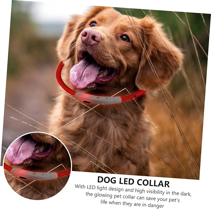 LED Rechargeable Light Up Dog Collar USB Charging Glowing Puppy Collar in Sturdy Plastic for Nighttime Safety and Visibility