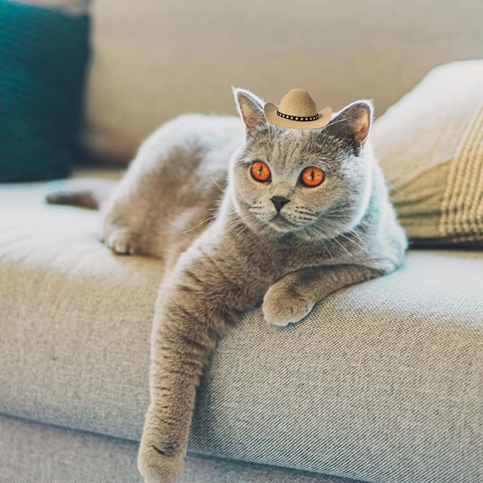 Dog Cowboy Hat Cat Cowboy Hat Pet Cowboy Costume Mini Cowboy Hat for Dogs Cat Holiday Halloween Pet Party Decoration (Khaki, Small)