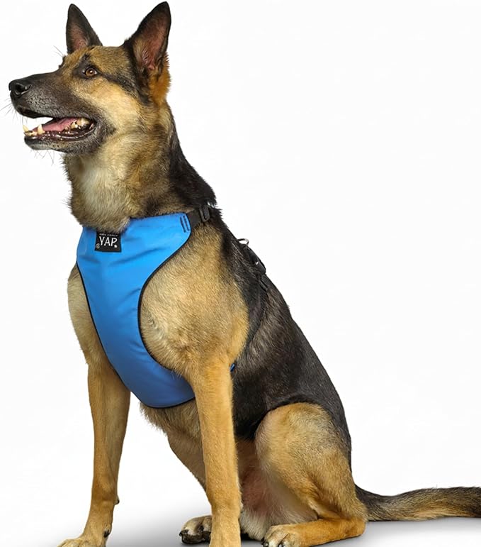 YAP Techno® No Pull Harness for Small Dogs, 4-Way Adjustable, Temperature Controlled Pet Vest Harness, Chokefree Dog Harness with Easy Control Handle for All Dog Breeds; 15-25 lbs (Aero Blue, Small)