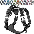 VIVAGLORY Dog Harness Easewalk No Pull Dog Harness with Handle Front Clip & Back Clip for Training Walking Lifting, No Pull Adjustable Easy On Padded Comfortable for Pet, M, Black - Patterned