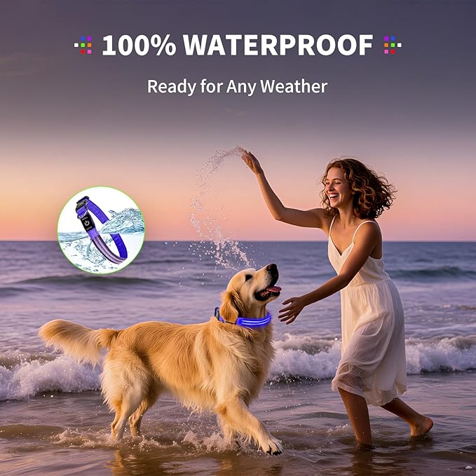 PetIsay Dog Light up Collar for Night Walking - High Visibility LED Dog Collar - Rechargeable - Waterproof - Reflective - Adjustable Lighted Glow Collars(Blue, XLarge)
