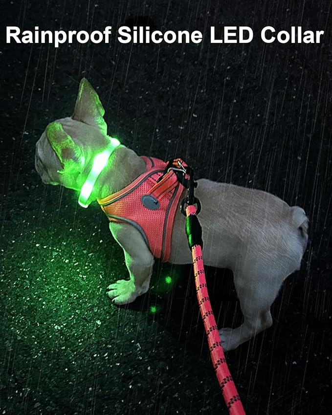 Cool LED Dog Collar Rechargeable Light Up Dog Collar Rainproof 9 Flashing Modes, Glow Collars for Night Walking, Cuttable Soft Silicone Collar (M,Colorful)