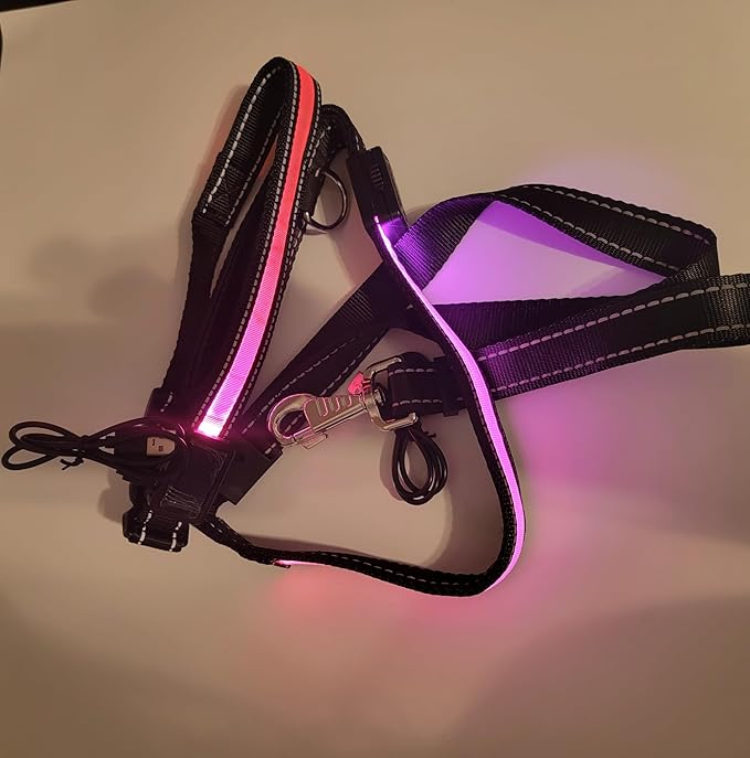 LED Dog Collar and Leash Light USB Rechargeable Color Changing, Glow in The Dark Dog Collars and Leash Waterproof (Pink, Collar Large + Leash)