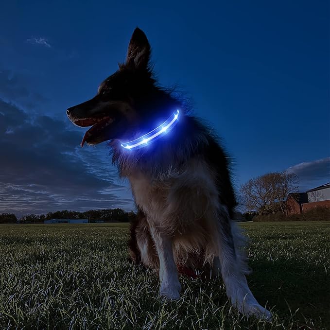 MASBRILL Light Up Dog Collars-RGB Led Collar for Dogs Rechargeable Lighted Dog Collar Water-Resistant Colorful Glow in The Dark Dog Collars for Night Walking