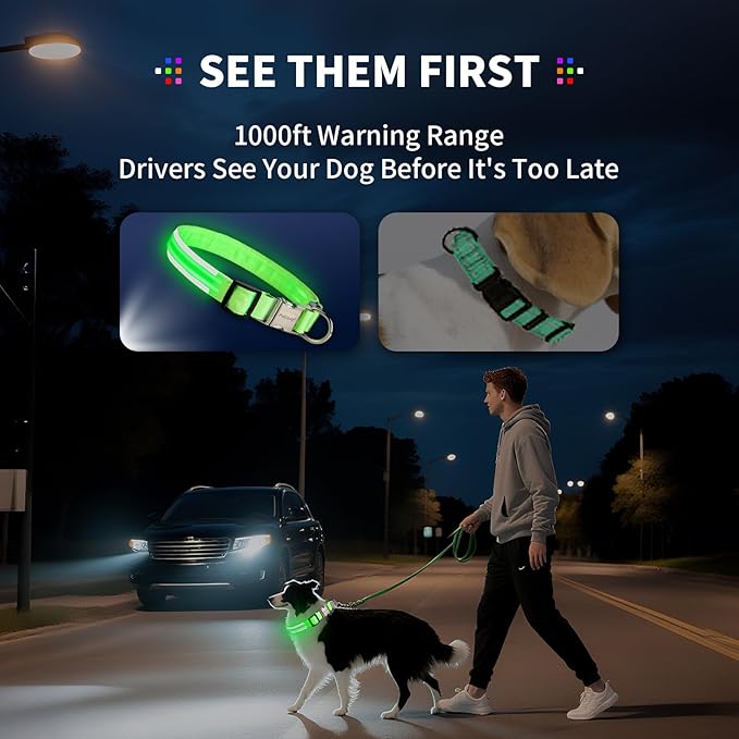 LED Dog Collar with Metal Buckle - USB Rechargeable Glow Collar for Dogs, Waterproof Light Up Dog Collar w/Reflective Strips - Adjustable Night Safety Collars by PetIsay(Blue, Small)