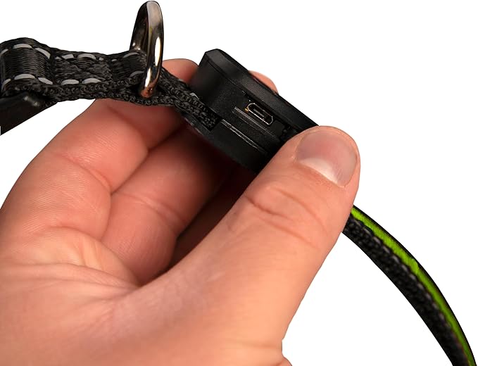 Sherry Kline LED Light-Up Pet Collar - USB Rechargeable - Flashing Glow in The Dark Size Medium, Color: Green