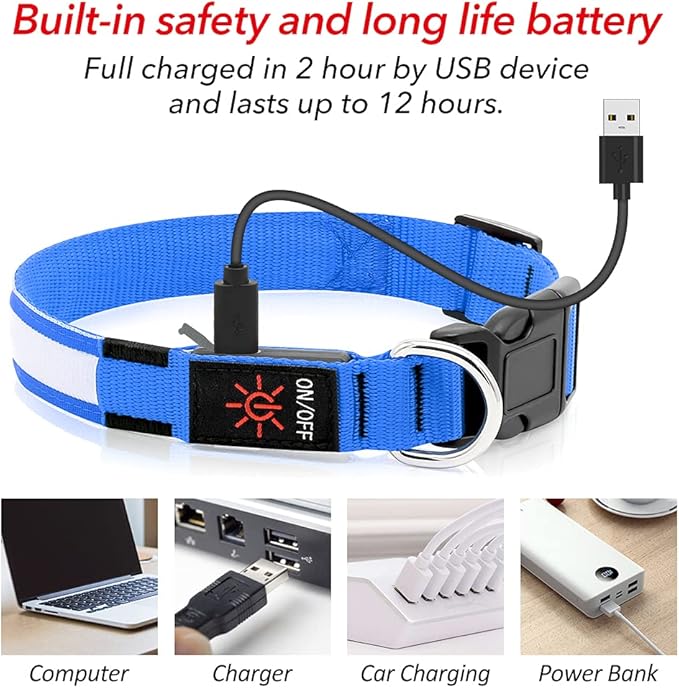 BSEEN Light Up Dog Collars - Reflective LED Dog Collar, Rechargeable Dog Glow Collar, Waterproof Glowing Dog Collar Lights for Night Walking (Royal Blue, Large)