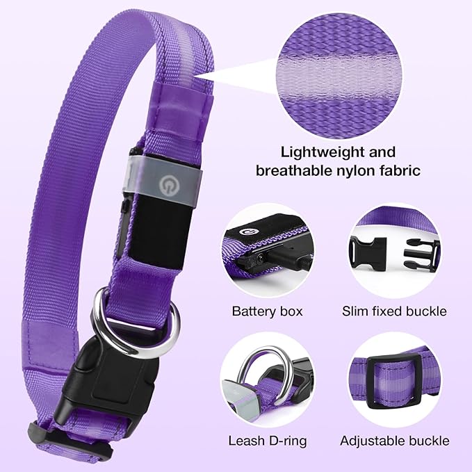 Light Up Dog Collar, USB Rechargeable 6 Modes, Waterproof Charging Port, Long Lasting LED Collar - Adjustable Nylon Reflective for Dogs, Sizes S/M/L (7/9/11 Lights) - 5 Colors (Purple, L)