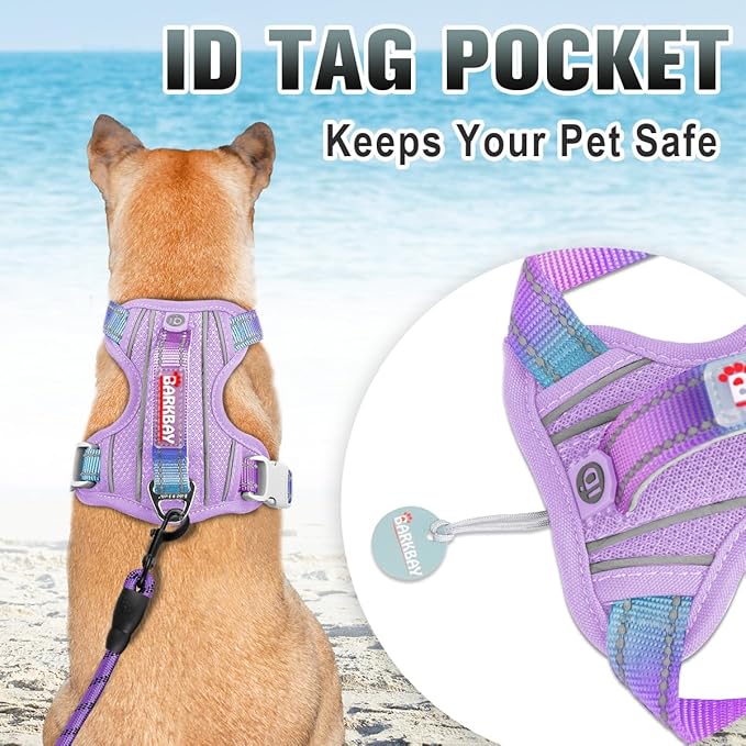 BARKBAY No Pull Dog Harness Large Reflective Dog Harness with Front Clip and Easy Control Handle for Walking Training Running with ID tag Pocket(Lavender Sky,XS)