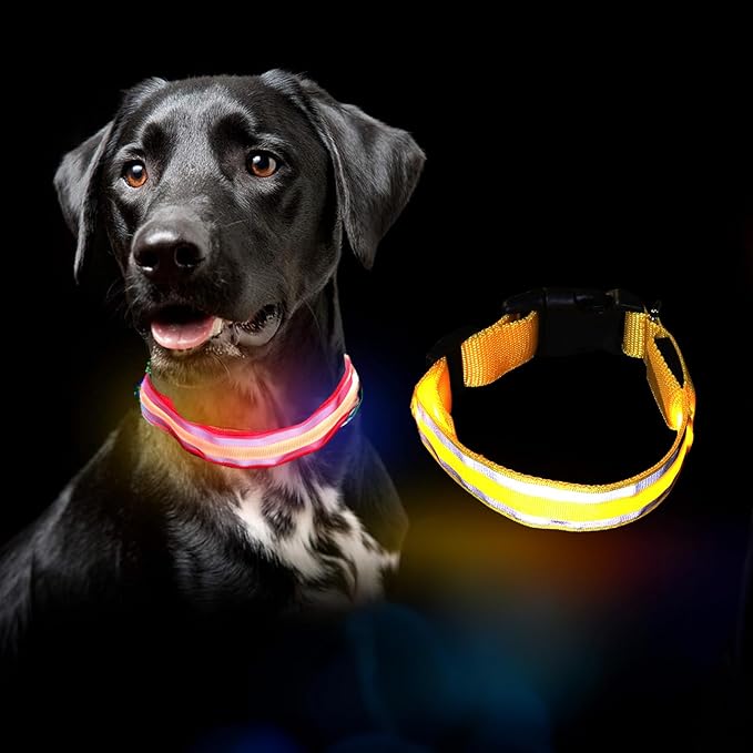 MANON ROSA LED Dog Collar USB Rechargeable Light Up Dog Collar Adjustable Nylon Soft Mesh Safety Glowing Collar for Small Medium Large Pet Dogs Cats-Nighttime Accessories (Yellow,Medium)