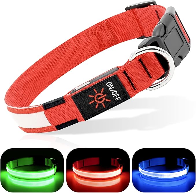 BSEEN Light Up Dog Collar, Rechargeable LED Puppy Collar Reflective Pet Collar Water-Resistant Dog Camping Gear Glowing Dog Lights for Night Walking (Ruby Red, Small)