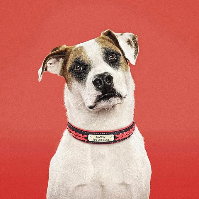 Personalized Braided Dog Collar Custom PU Leather Dog Collars Padded Pet ID Collar for Small Medium Large Dogs Pitbull Bulldog Red L
