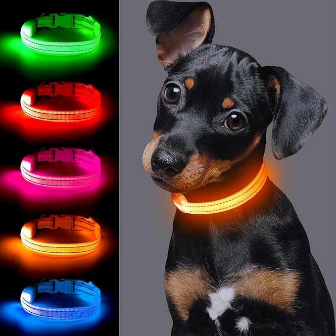 Light up Dog Collar for Small Dog,Vizpet XS Adjustable Size Nylon Collar USB Rechargeable Bright Safety Pet Collar for Cats Dogs (Orange)