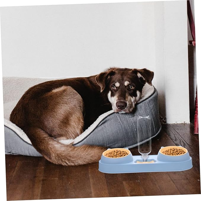 Automatic Cat Dog Feeder Double-Bowl Pet Feeder Cat Food Dispenser Water Container
