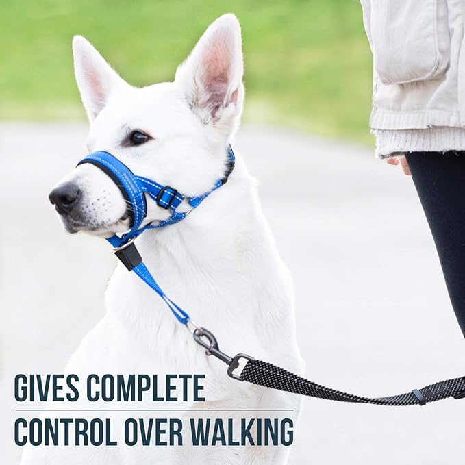 GoodBoy Dog Head Halter with Safety Strap - Stops Heavy Pulling On The Leash - Padded Headcollar for Small Medium and Large Dog Sizes - Head Collar Training Guide Included (Size 3, Blue Nylon)