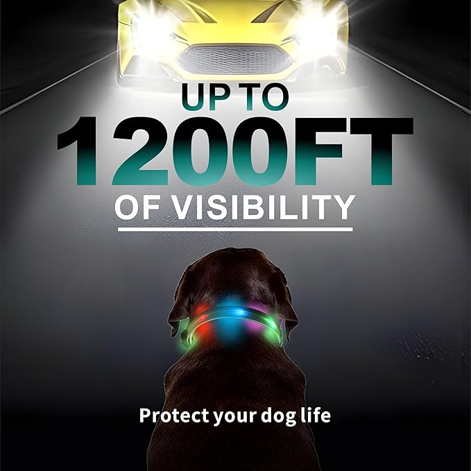 Light up Dog Collars,Led Dog Collar Rechargeable,Glow in Dark Dog Lights for Walking at Night for Small Medium, Large Dogs (Blue)