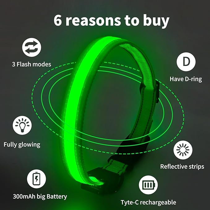 LED Dog Collar Light Up with 2025 Bright Beads & 300mAh Battery, Type-C Rechargeable Waterproof Dog Collar, 3 Flash Mode 15H for Night Safety, Adjustable Nylon Glow Collar for Small Medium Large Dogs