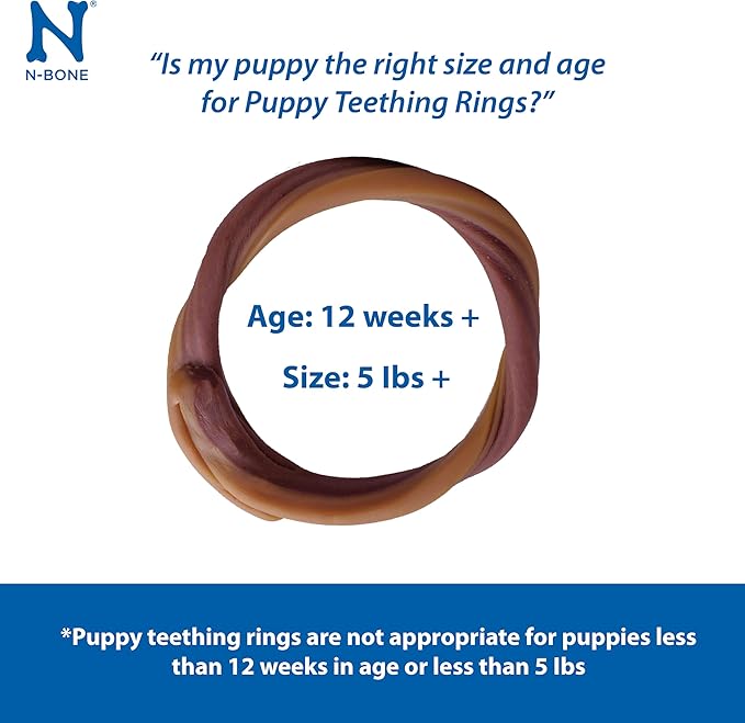 N-Bone Puppy Teething Rings Taste of Texas Burnt Ends Flavor 3 Count