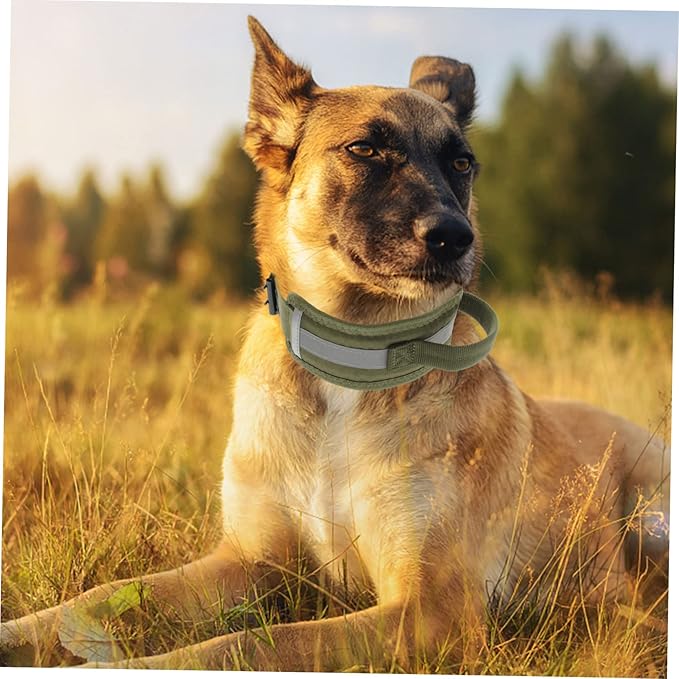 Reflective Dog Collar Handle Large Dog Collar Adjustable Lightweight Outdoor Use