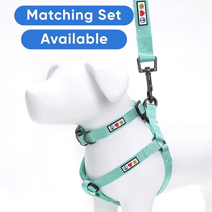 Pawtitas Personalized Dog & Puppy Harness Large Teal Custom ID Tag Adjustable No Pull Vest