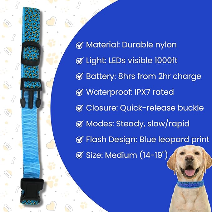 Leopard Dog Collar - Glow in The Dark USB Collar with Rechargeable Battery + Waterproof Design - Light Up Dog Collar - Blue (Medium Size)