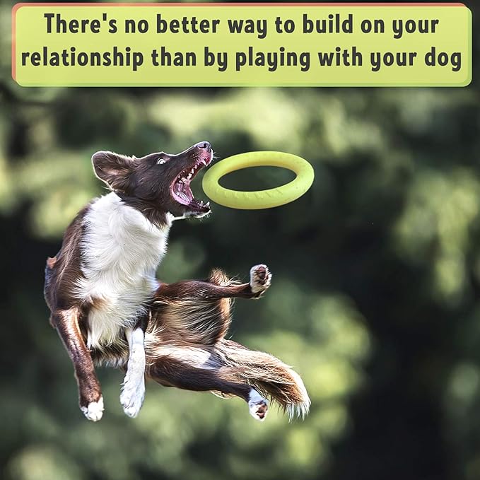 PetSpy Dog Ring Toy – Ring Puller for Outdoor Play, Floating Training & Fetch Toy for Throwing, Catching & Chewers – Durable EVA Flying Disc for Small, Medium & Large Dogs