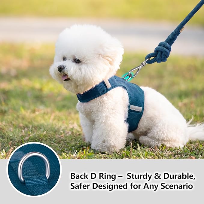 Dog Harness for Puppy – Adjustable Reflective Easy Put On Soft Mesh Vest for Small Dogs with 2 Patches (Prussian Blue,S)