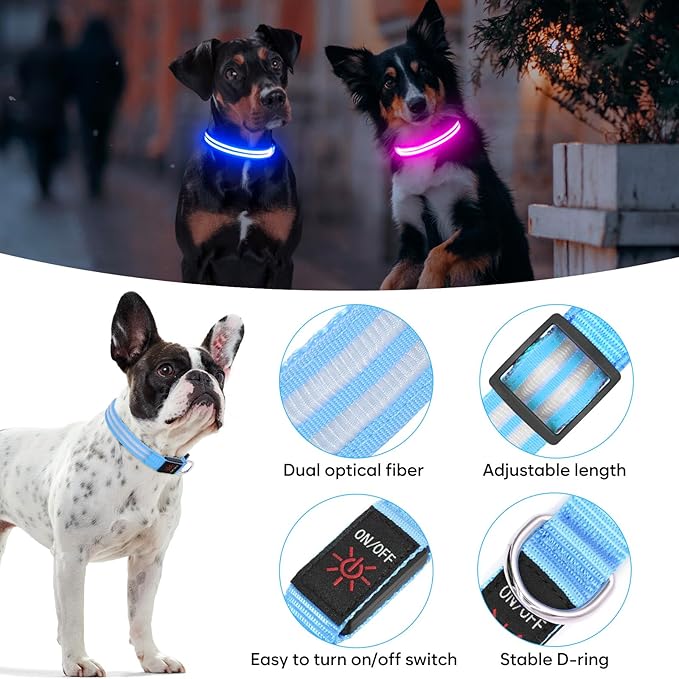 BSEEN Light Up Dog Collar, LED Dog Collar Rechargeable Reflective Puppy Collar Adjustable Pet Necklace Safety Dog Lights for Night Walking (Blue, Small)