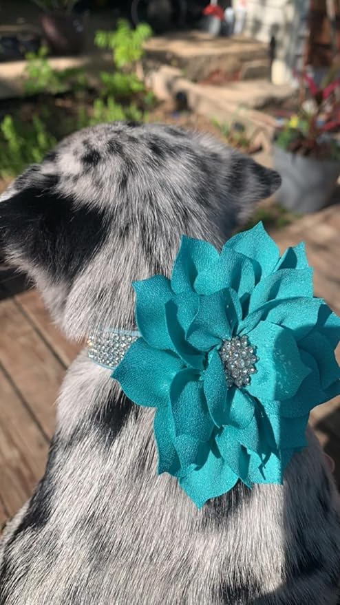 Rhinestone Dog Collar, Cute Dazzling Sparkling Soft Suede Leather Dog Cat Rhinestone Collar Crystal Diamond Pet Dog Puppy Collar (Blue5, S)