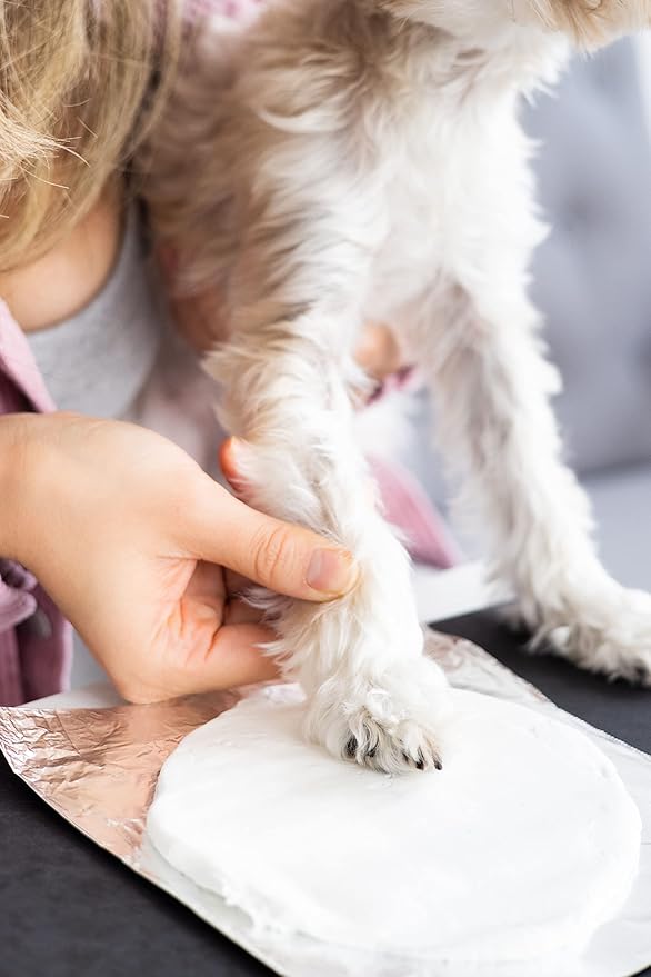 Pearhead Pet Paw Print Valentine’s Ornament Kit – Heart-Shaped Clay Pawprint Keepsake for Dogs & Cats, DIY Valentine’s Day Pet Gift & Memorial