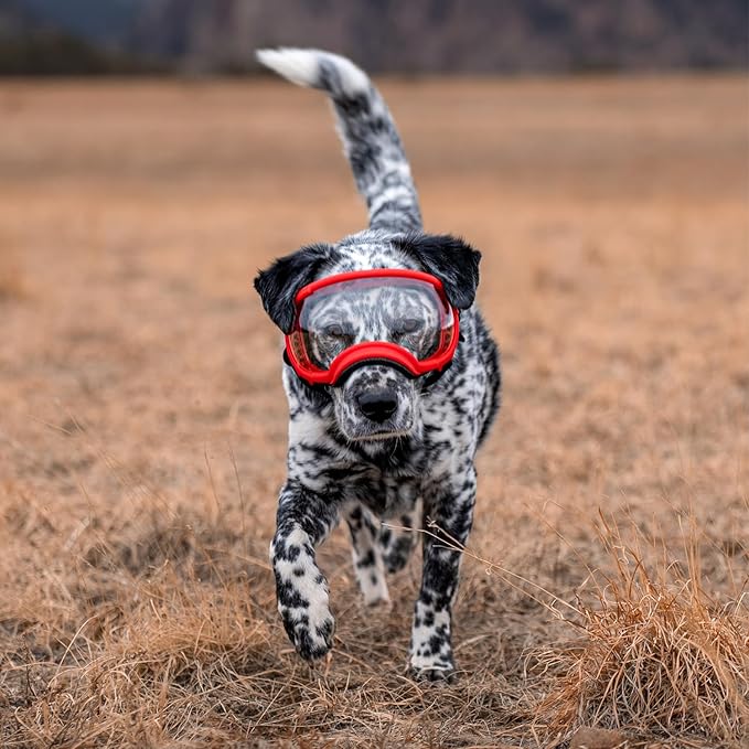 Rex Specs V2 Dog Goggles (Medium, Ranger Red)