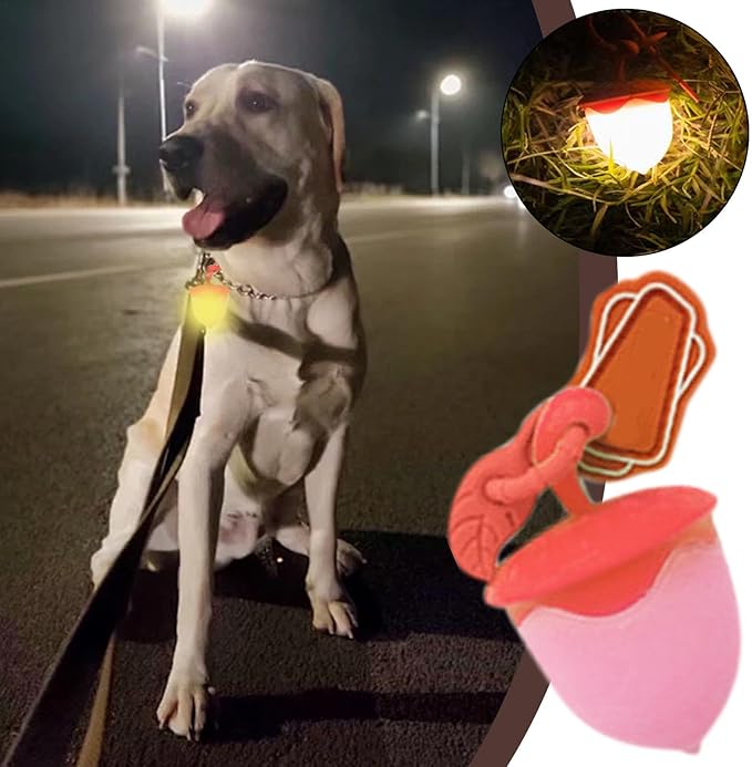 Waterproof Dog Night Light - Flashing Modes Collar Light, Sturdy Walking Light | Three Bright Flashing Modes, Ideal for Nighttime Dog Walking, Running, Biking, Increased Visibility and Safety in Low