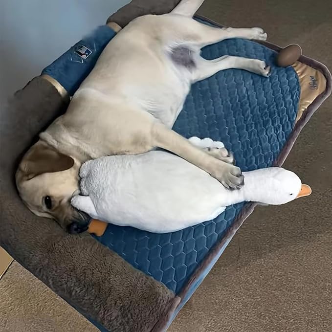 Large Plush White Duck Dog Toy, Goose Dog Toy, Squeaky Dogs Toy for Medium & Large Dogs, Soft Stuffed Duck Chew Toy for Chewing, Fetch, Training & Indoor Play (50cm/19.69in)