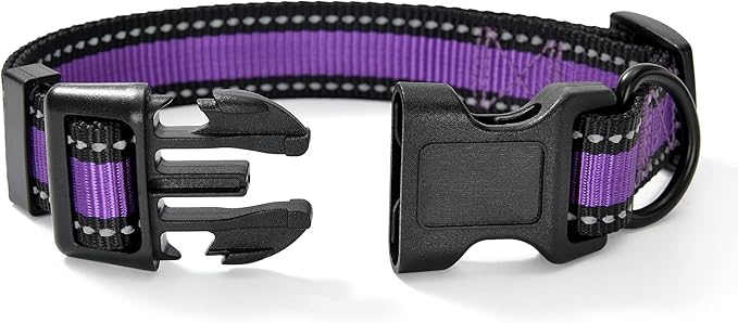 Mile High Life Dog Collar | Nylon Reflective Dog Collars | Light Weight Puppy Collars | Purple Dog Collars for Large Dogs (Purple, Large)
