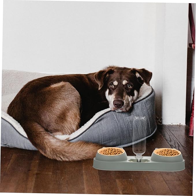 Generic Automatic Double Bowl Pet Feeder with Drinking Water Dispenser Bite Resistant and Skid Cat and Dog Food Holder for Home Use Easy to Fill and Stable Design