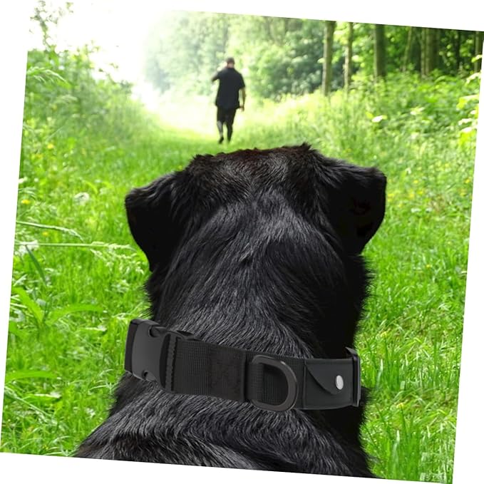 Generic 2Pcs Adjustable Dog Protective Collar with Buckle Comfortable Pet Positioning Collar for Dogs Anti-Lost Safety Gear for Outdoor Use