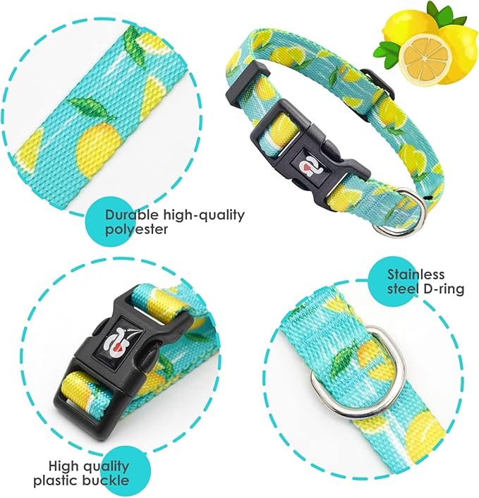 azuza Dog Collar and Leash Set, Lemon Patterns on Blue Nylon Collar and Matching 6ft Leash, Adjustable for Small Dogs