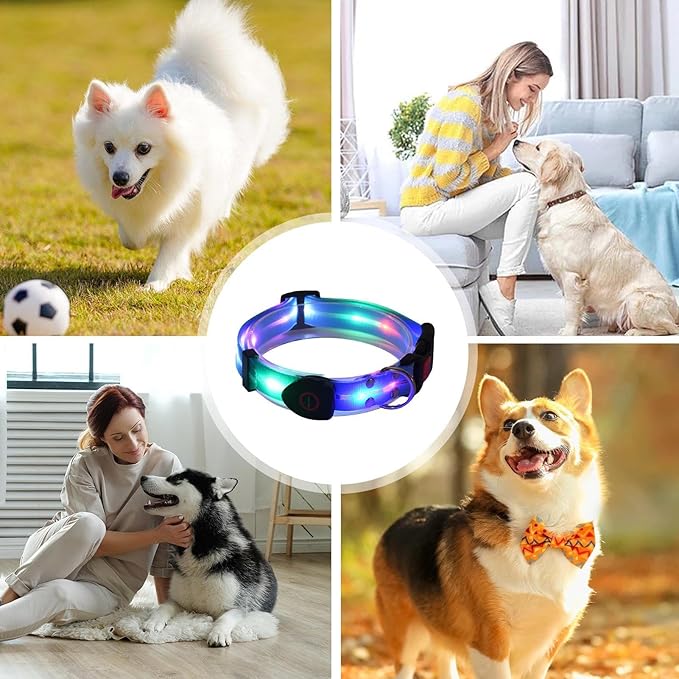 Dog LED Light Collar, Rechargeable LED Dog Collar, Puppy Collars with Poop Bag Holder, Adjustable Pet Collars Lead Set, Waterproof LED Light Dog Collar for Dogs, Puppies, Pets, Walking, Running