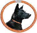 Stylish and Luxurious Diamond Dog Collar,Magnetically Clasp,Full Diamond Design,Perfect for Wedding and Everyday Walking - Rose Red Diamons Necklace Collar for Medium Large Dogs,20''