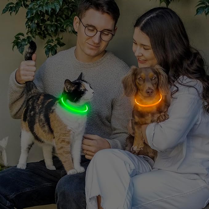 LED Dog Collar, Light Up Dog Collars USB Rechargeable for Night Walking-Fashion TPU Glowing Safety Pet Collar Lights for Small Dogs Cat (Orange)