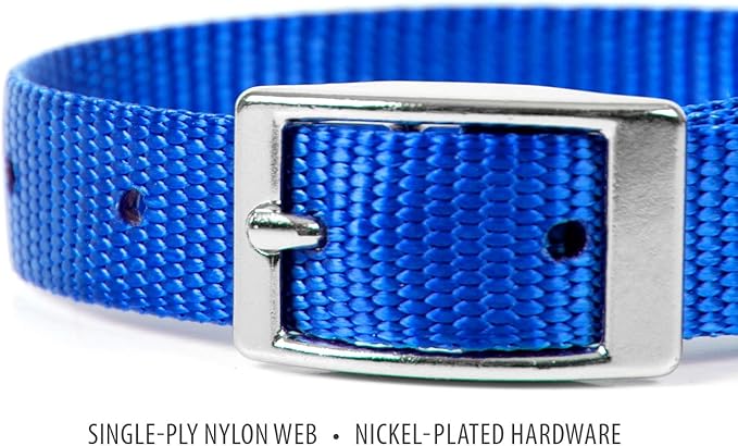 Jeffers Pet Solid Web Nylon Dog Collar for Small, Medium, Large Dogs – Adjustable Pet Collar, Nickel Plated Hardware – Strong, Durable, Comfortable – Outdoor, Training Use - Royal Blue 5/8" W x 10" L