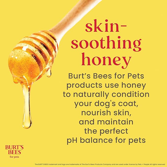 Burt's Bees for Pets Waterless Shampoo Spray for Dogs with Apple and Honey, 99.1% Natural Origin Formulas, Waterless Dog Shampoo - Gentle Dry Shampoo for Dogs, Best Dog Shampoo, 10 oz
