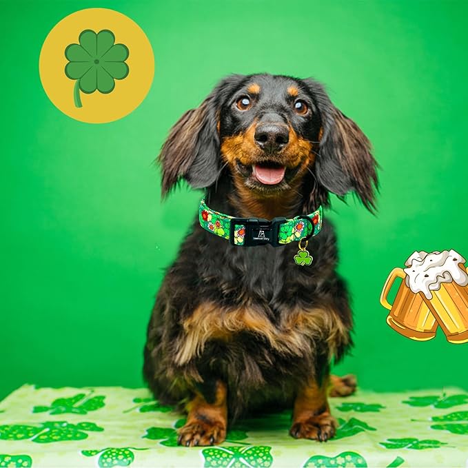 Lionheart glory St. Patrick's Dog Collar-Lucky Clover Shamrock Green Spring Trefoil Dog Collar for Medium Dogs Adjustable Heavy-Duty Dogs Collars Pet Gift Femal