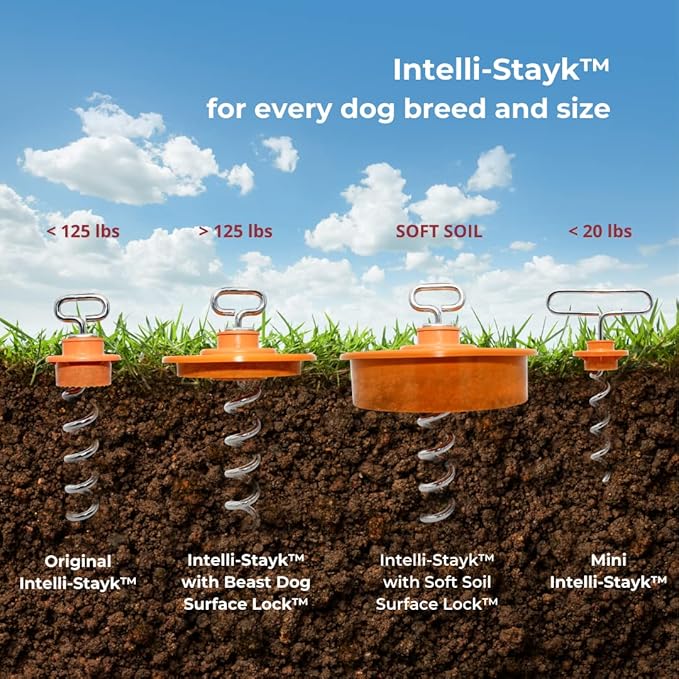 IntelliLeash Intelli-Stayk: 4" Diameter with Exclusive Surface-Lock Technology for Pulling and Bending Prevention