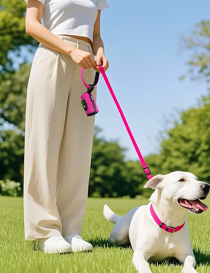 Gobeigo【Easy Pull-Out Version】 Dog Poop Bag Holder,【2-in-1 Hard Plastic Insert & Soft Fabric Bag】Snap-On Strap Dispenser Fits Retractable and Standard Leashes with 1 Roll Bags (Hot Pink)