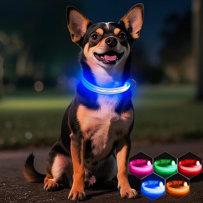 Light Up Dog Collar for Small Dogs, LED Dog Collar Rechargeable Safety Dog Lights, Fully Adjustable Glow in The Dark Dog Collar Light for Night Walking & Camping (X-Small, Blue)