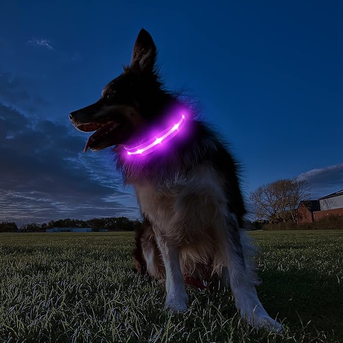 MASBRILL Light Up Dog Collar - RGB LED, Rechargeable, Water-Resistant Glow Up Night Walking Collar for Small to Large Dogs